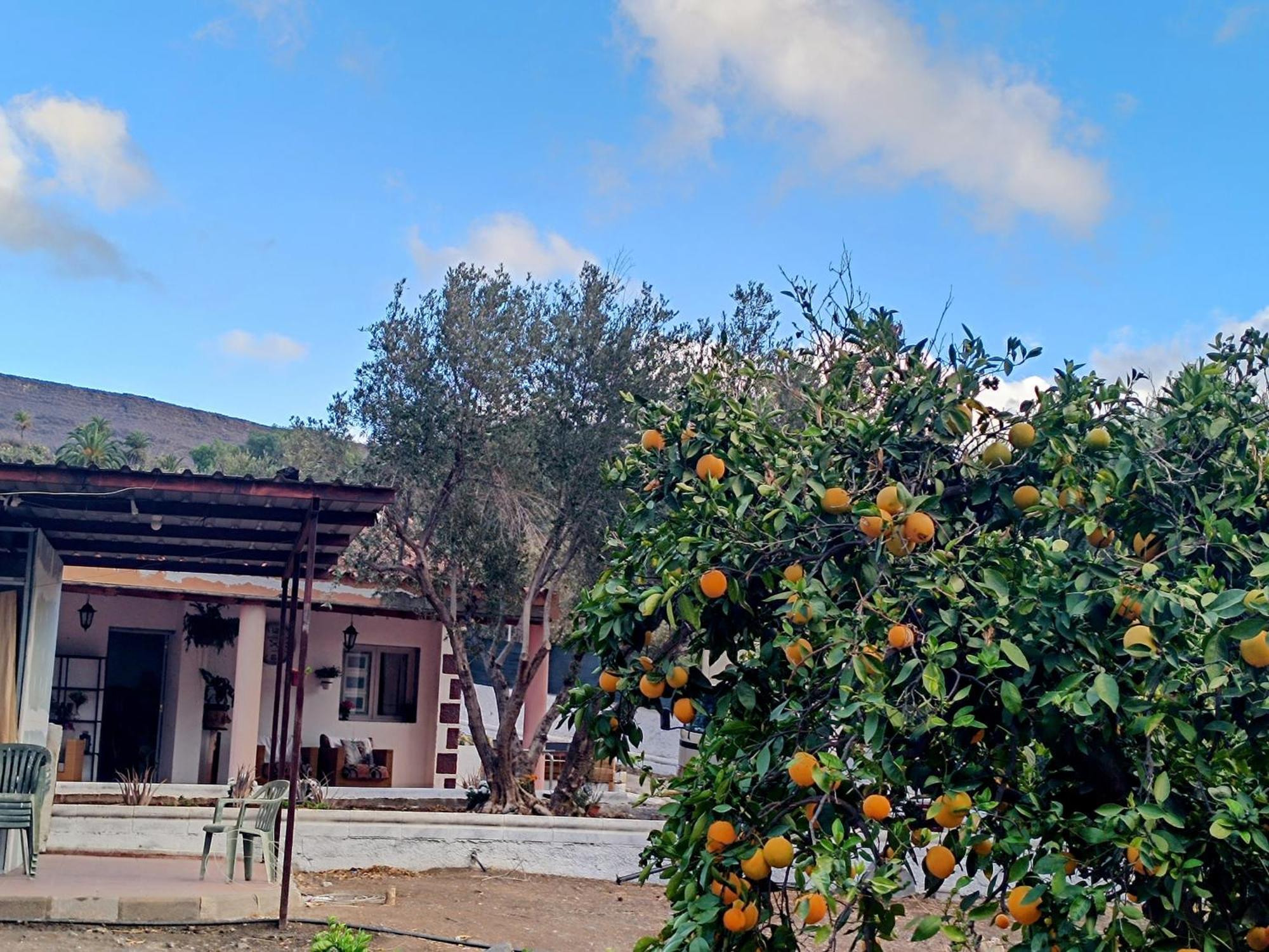 La Casa De La Pradera Bed & Breakfast Santa Lucia De Tirajana Exterior photo